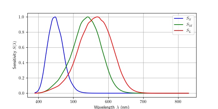 Sensitiviy of cones